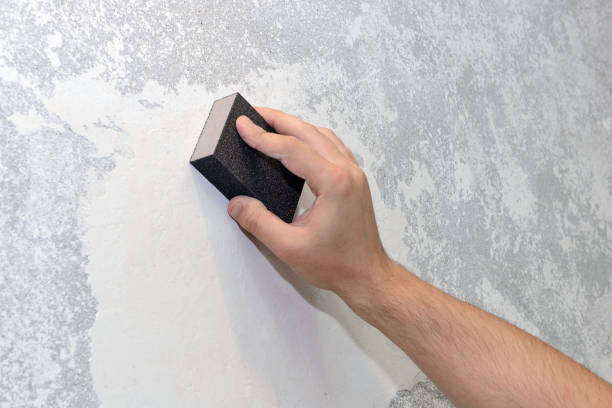 Best Environmental Consulting for Mold Prevention  in Elk Plain, WA
