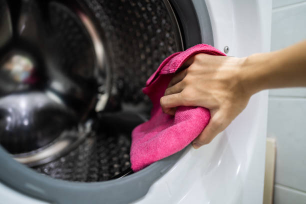 Best Mold Damage Restoration  in Elk Plain, WA