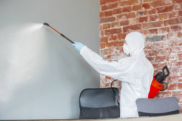 Best Attic Mold Removal  in Elk Plain, WA