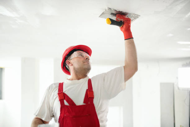 Trusted Elk Plain, WA Mold Removal Experts