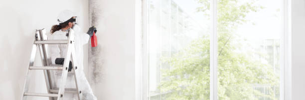 Best Dehumidification Services  in Elk Plain, WA